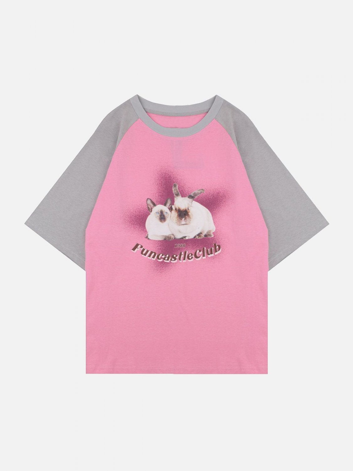Color Blocking Rabbit Print Tee