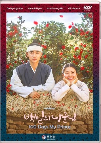 Hanying100 Days My Prince Korean Drama.