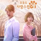 HanyingA Good Day to Be a Dog (2024) Korean Drama.