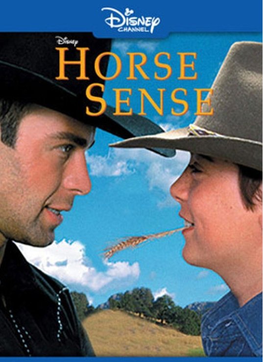 HanyingHorse Sense DVD - Disc Only