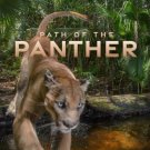HanyingPath of the Panther (2022) DVD Movie Free Shipping