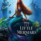 HanyingThe Little Mermaid ( 2023, DVD) NEW Movie With Slipcover & Artwork Free Shipping