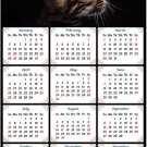2020 Magnetic Calendar - Calendar Magnets - Today is My Lucky Day - Cat Themed 10