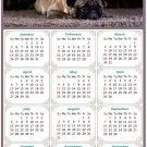 2025 Magnetic Calendar - Calendar Magnets - Today is My Lucky Day - Dogs Themed 02 (5.25 x 8)