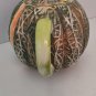 Vintage Cantaloupe Teapot and Creamer Pitcher Dept 56 hand painted 1960