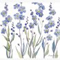 Blue Forget Me Not Blooms Socks