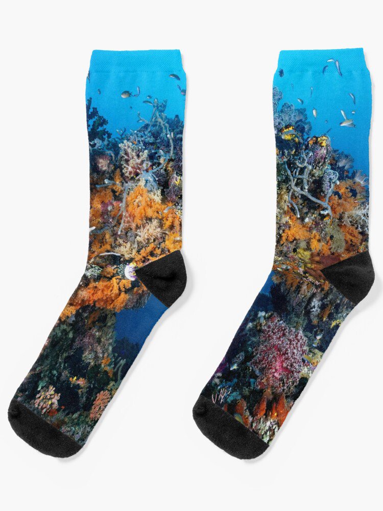 Bridge Under Troubled Water Socks