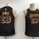 Youth LeBron James #23 Los Angeles Lakers Basketball Black Jersey Stitched