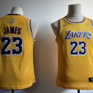 Youth LeBron James #23 Los Angeles Lakers Basketball Jersey Yellow Stitched