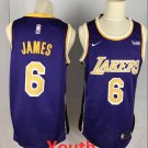 Youth Los Angeles Lakers #6 Lebron Jame Purple Basketball Stitched Jersey