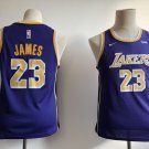 Youth Los Angeles Lakers #23 LeBron James Basketball Purple Jersey Stitched