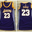 Women Los Angeles Lakers 23# LeBron James Purple Dress Basketball Jersey