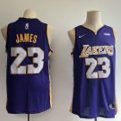 Men's & Youth Los Angeles Lakers #23 LeBron James Basketball Swingmen Jersey Purple