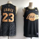 Men's & Youth Los Angeles Lakers #23 LeBron James Black Gold Basketball Jersey