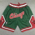 Men's & Youth Chicago Bulls Basketball Shorts Just Don Green Top Quality Dense Embroidery Pants