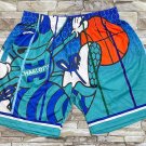 Men's & Youth Charlotte Hornets Basketball Shorts Teal Green Print