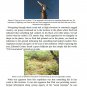 Dulce Base: The Truth and Evidence From the Case Files of Gabe Valdez by Greg Valdez