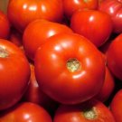 Seeds Fresh Crop Rutgers Tomato Seeds Solid Great Slicer 100 Seeds Per Pkt