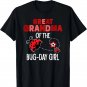 Great Grandma Of The Bug Day Girl Ladybug Birthday Pun T-Shirt