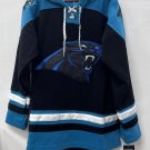 Carolina Panthers Football Hockey style hoodie