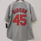 Bob Gibson 1967 St. Louis Cardinals Official Baseball Jersey Mitchell & Ness