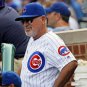 Joe Maddon Chicago Cubs Official Baseball Majestic Throwback Jersey gray