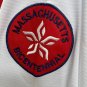 Carl Yastrzemski 1975 Boston  Red Sox Official Baseball Majestic Jersey