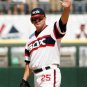 Jim Thome Chicago White Sox Official Baseball Majestic Jersey