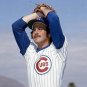Steve Stone Chicago Cubs Official Baseball Majestic Jersey