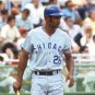 Billy Williams 1969 Chicago Cubs Official Baseball Majestic Jersey