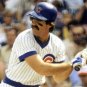 Bill Buckner 1979 Chicago Cubs Official Baseball Majestic Jersey