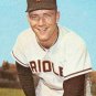 DAVE McNALLY 1965 Baltimore Orioles Official Baseball Majestic Jersey