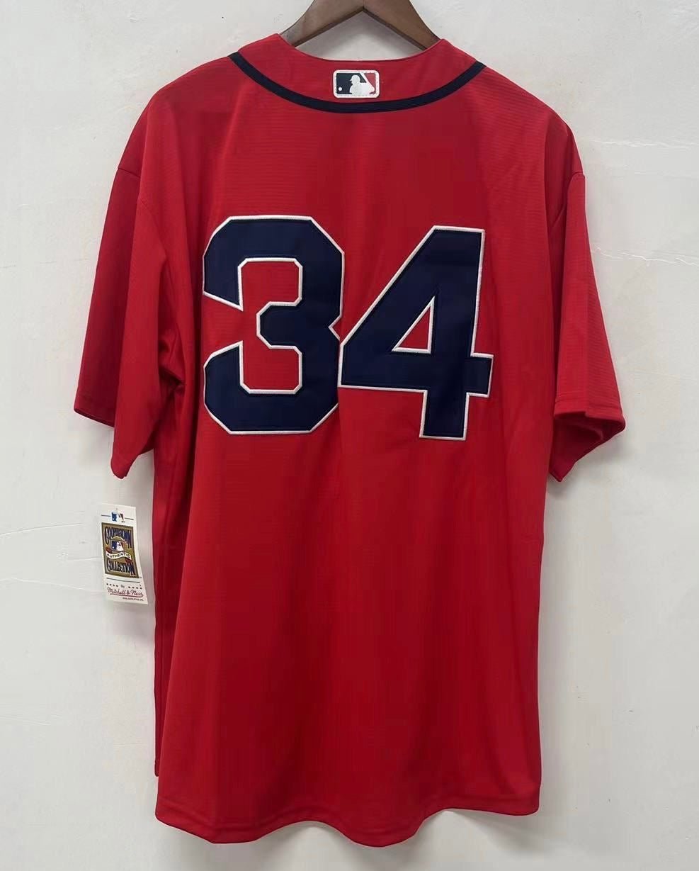 David Ortiz Boston Red Sox Official Baseball Mitchell & Ness Jersey