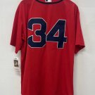 David Ortiz Boston Red Sox Official Baseball Mitchell & Ness Jersey