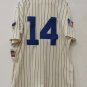 Ernie Banks Chicago Cubs Jersey 1969 Cooperstown Collection Mitchell & Ness