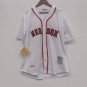 Pedro Martinez Boston Red Sox Official Baseball Jersey Mitchell & Ness