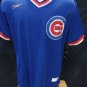 Ryne Sandberg Chicago Cubs Official Baseball Jersey