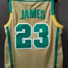 LeBron James high school Jersey Classic Authentics