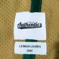 LeBron James high school Jersey Classic Authentics