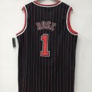 Derrick Rose Chicago Bulls Official Basketball Jersey