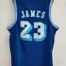 LeBron James Los Angeles Lakers Jersey blue