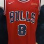 Zach LaVine Chicago Bulls Official Basketball Jersey