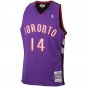 Muggsy Bogues Toronto Raptors Official Basketball Mitchell & Ness Jersey