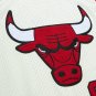 Dennis Rodman Chicago Bulls Official Basketball Jersey Mitchell & Ness cream color