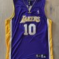 Steve Nash Los Angeles Lakers Official Basketball Jersey purple