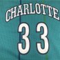 Alonso Mourning Official Basketball Mitchell & Ness Jersey