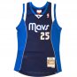 Vince Carter Dallas Mavericks Official Basketball Mitchell & Ness Jersey