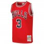 Dwyane Wade Chicago Bulls Official Basketball Mitchell & Ness Jersey