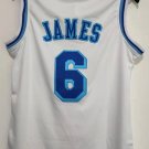LeBron James #6 Los Angeles Lakers Classic Authentics Jersey
