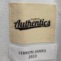 LeBron James #6 Los Angeles Lakers Classic Authentics Jersey